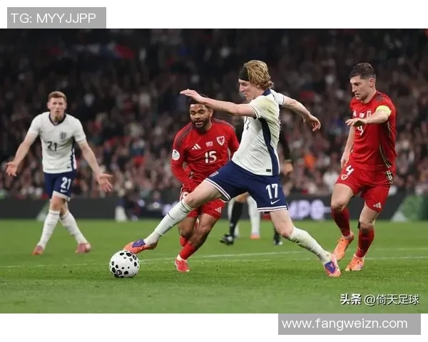 波黑与芬兰激战欧洲杯预选赛争夺出线机会的精彩对决