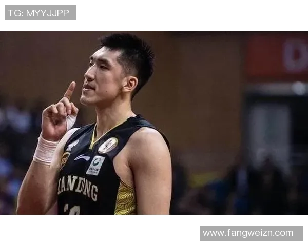 陶汉林：从篮球场上的明星到社会责任的践行者的成长之路